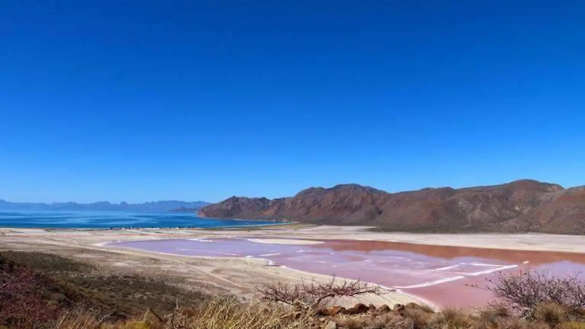 Playa Rosa de Isla del Carmen Loreto