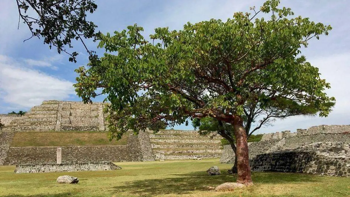 Foto - 2021-05-29T151157.389