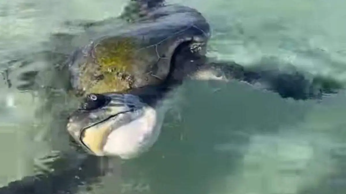 Foto - 2021-02-15T164515.251