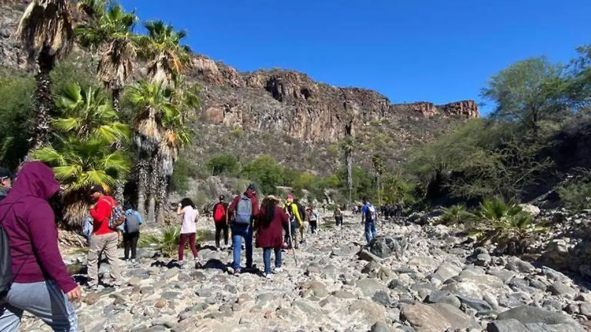 Prismas balsáticos Comondú