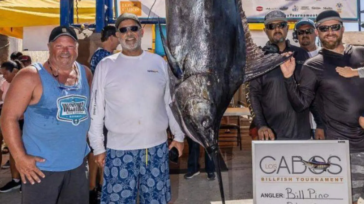 Marlin 500 libras Los Cabos
