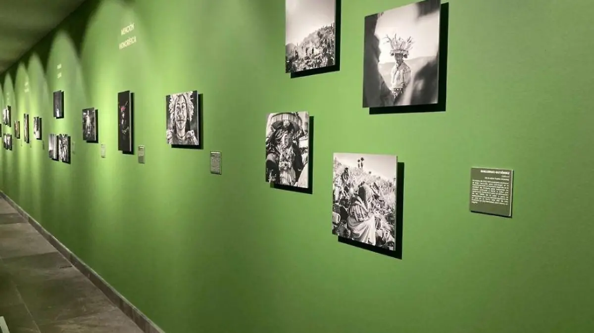 Foto (6)