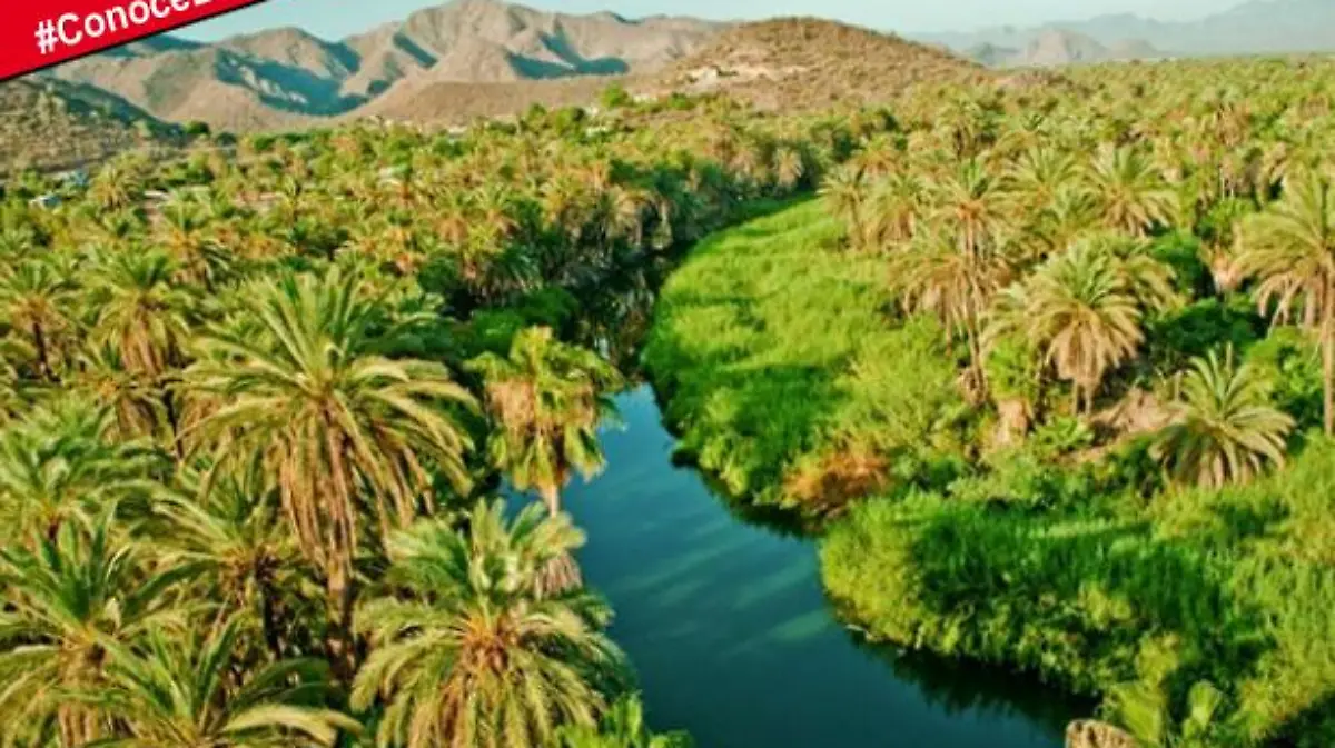 Conoce Mulege