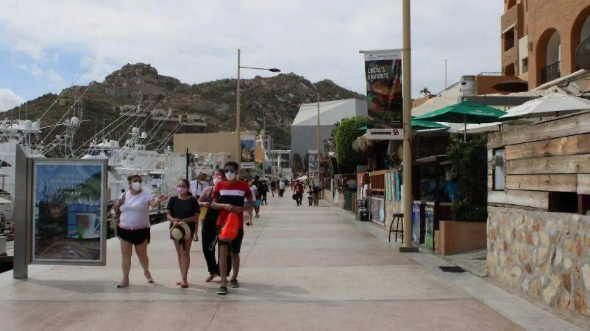 Foto - 2021-01-28T203313.476