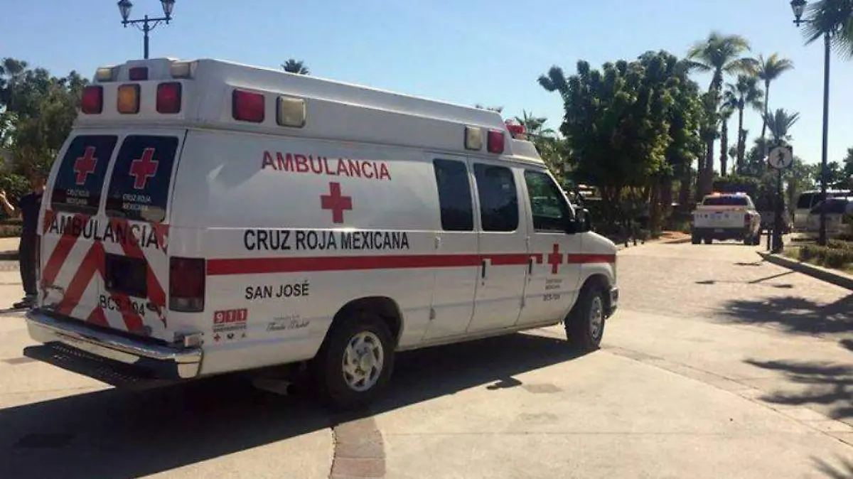 Foto - 2023-05-26T212527.098