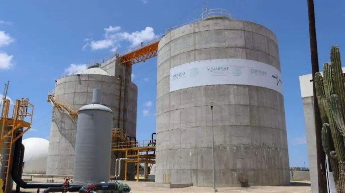 Foto - 2020-11-29T175552.114