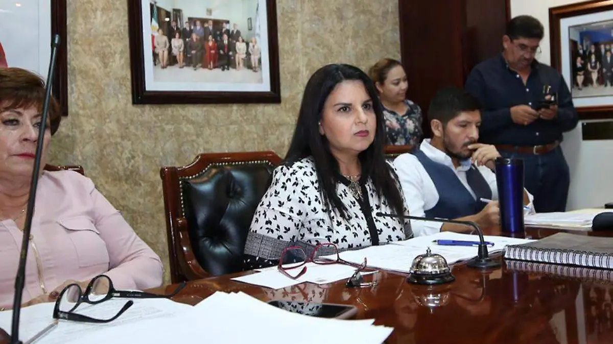 Armida Castro cabildo