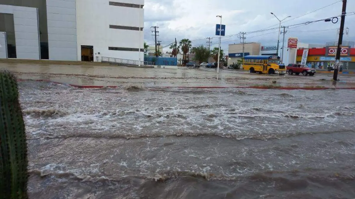 Foto - 2021-11-30T182955.601