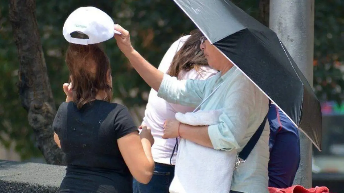 Foto - 2021-04-16T192517.714