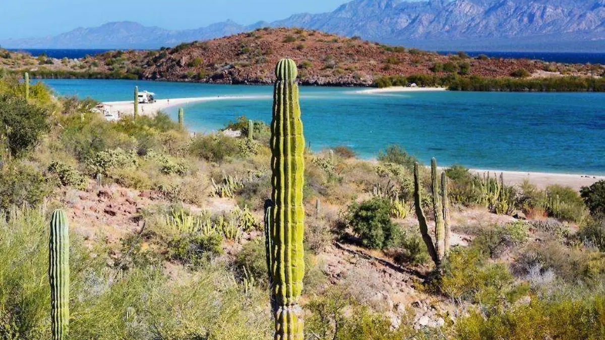 Foto - 2021-09-26T190025.528