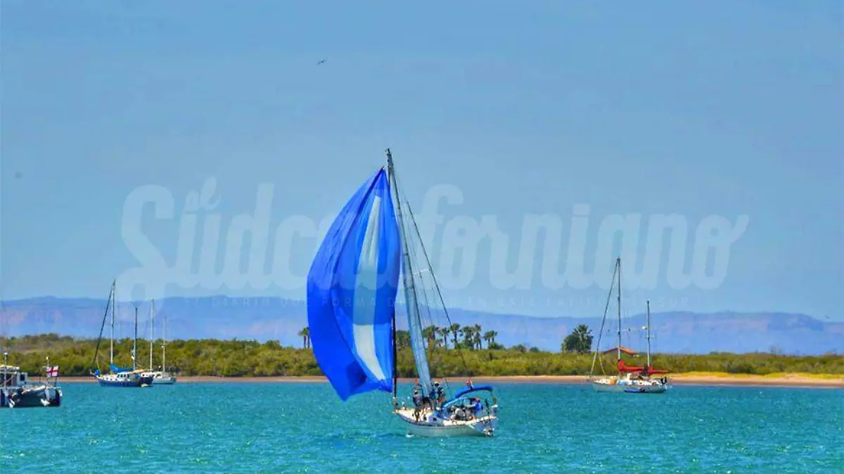 Regata La Paz 2s