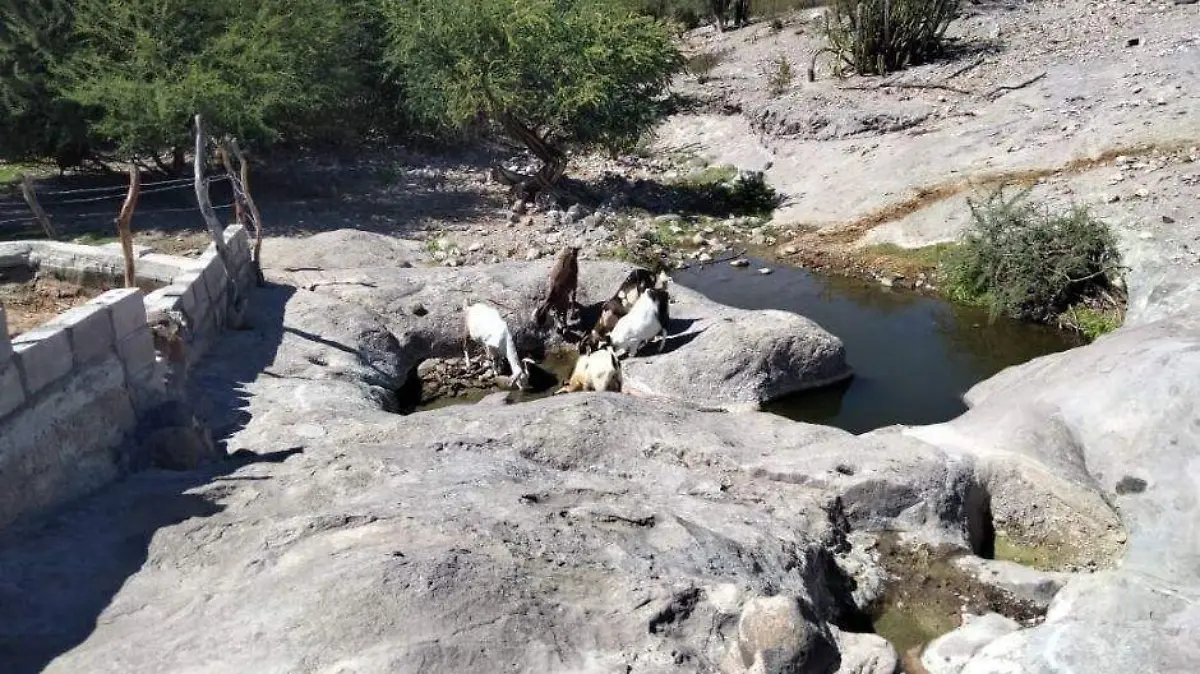 Foto - 2021-11-13T151452.838