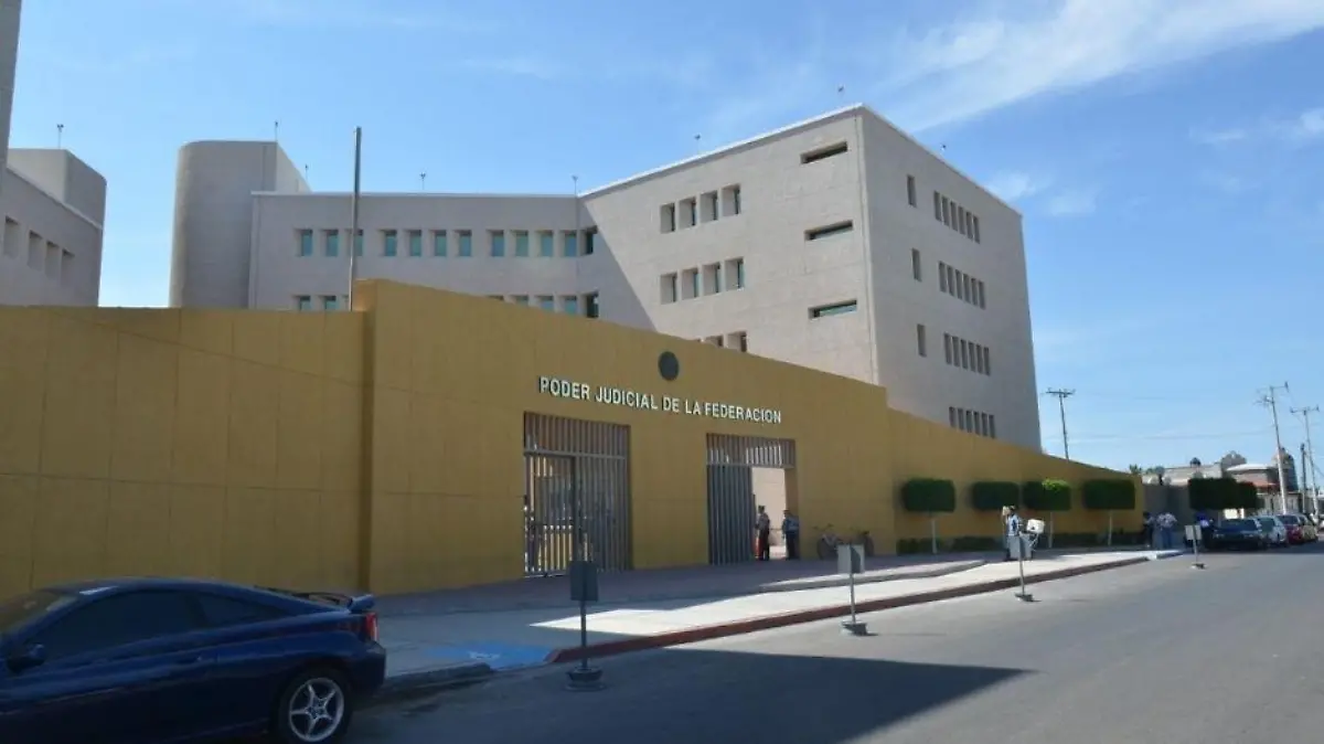 Insumos (14)