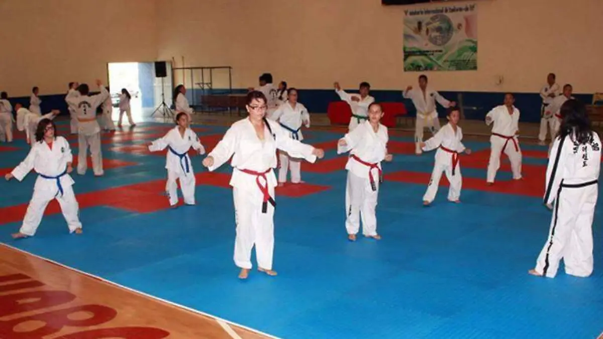Taekwondo Artes Marcaiales