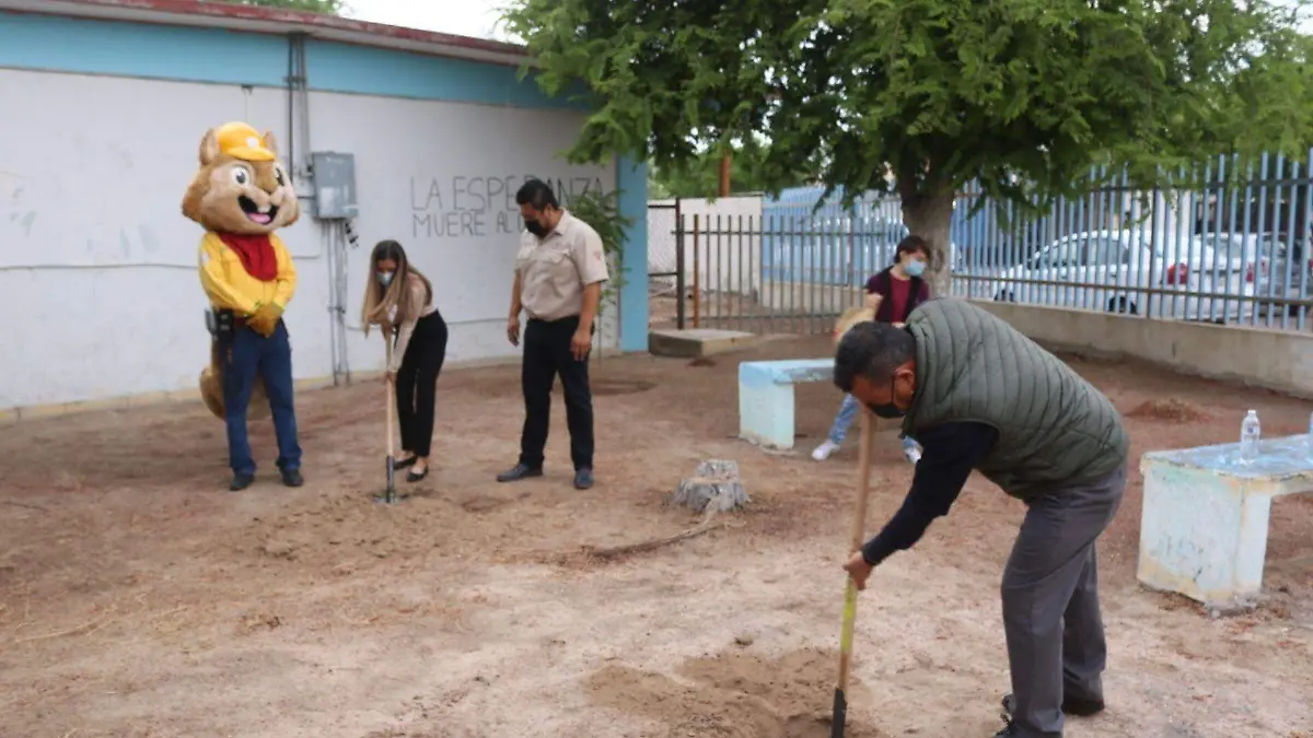 Plantan árboles secuandaria 5