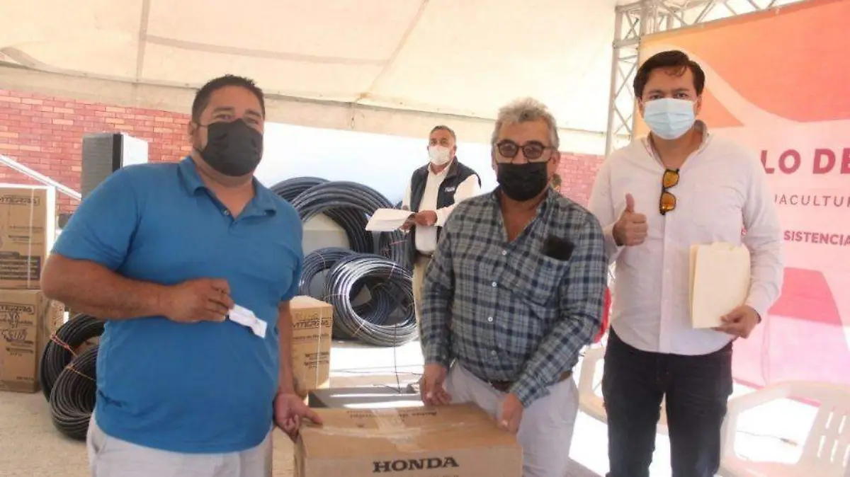 Colapso sistema salud BCS (31)