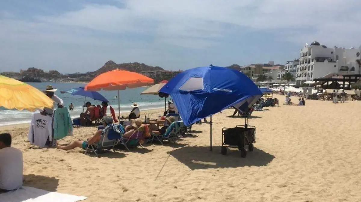 Foto - 2021-04-02T222455.510