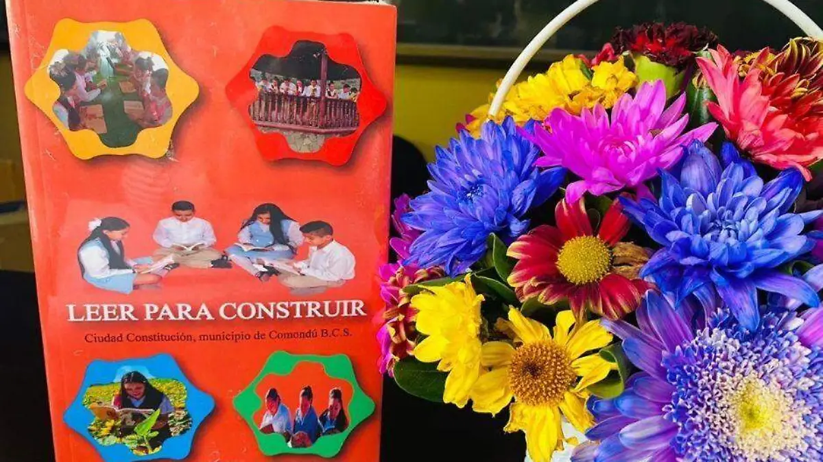 Foto - 2020-11-29T172746.500