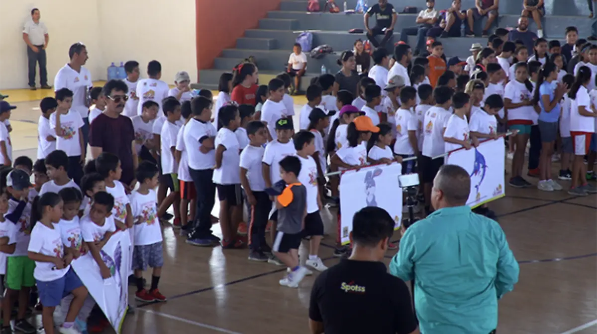 cursos verano deportivos