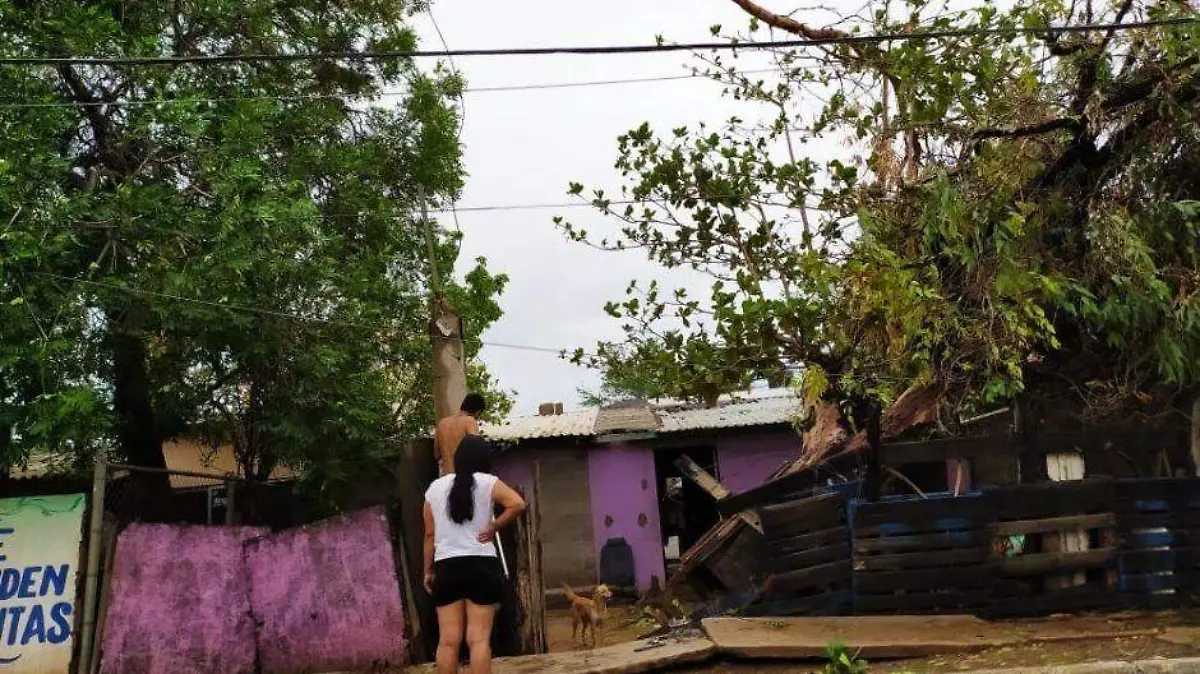 Foto - 2021-09-10T171244.269