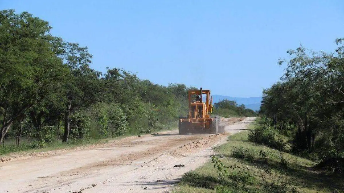 alcalde Comondú (5)