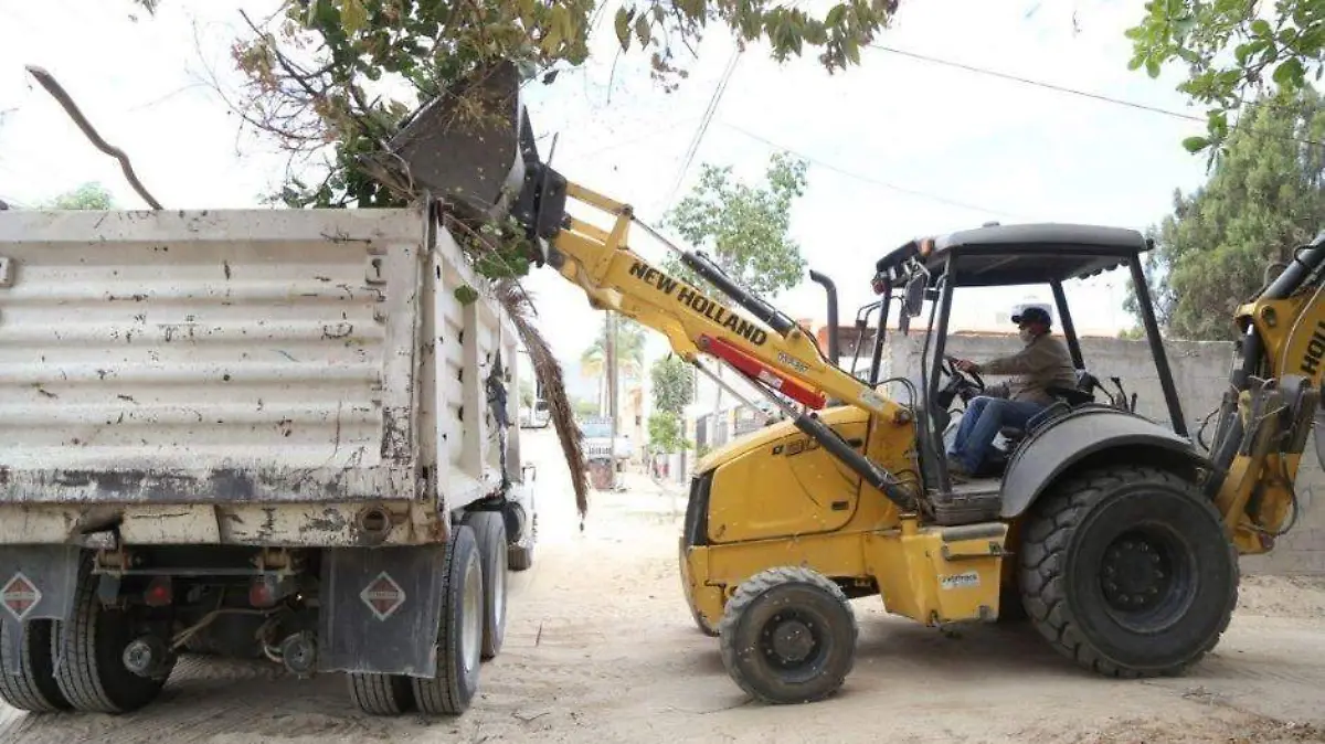 Foto - 2021-05-07T163628.183