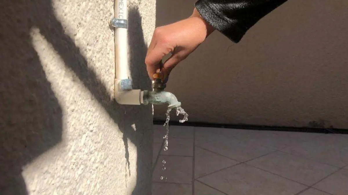 Foto - 2022-02-03T153535.436