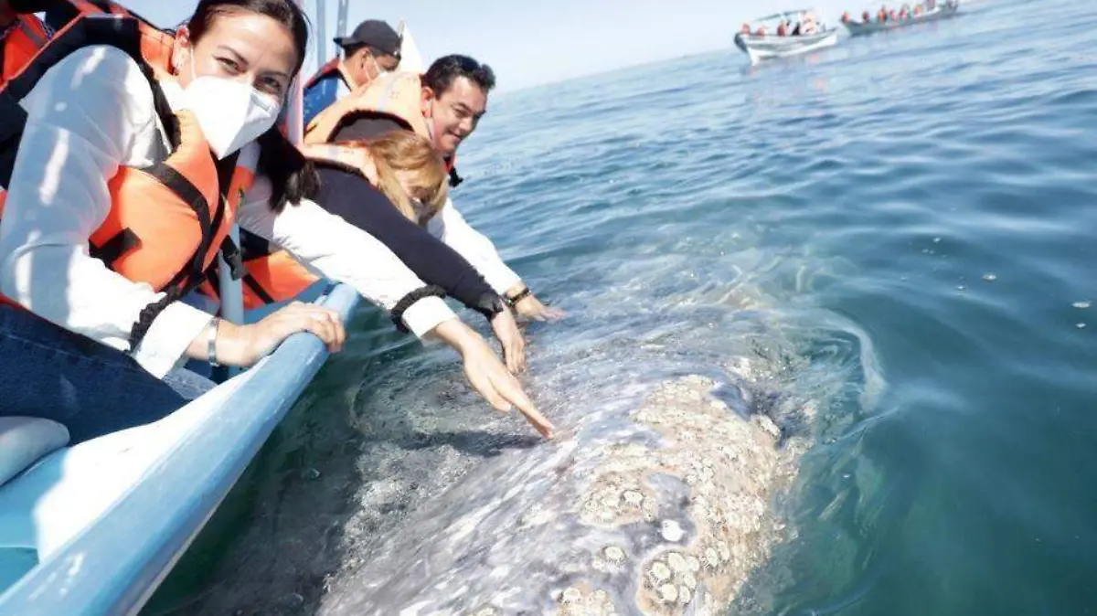 Foto - 2022-01-30T181424.031