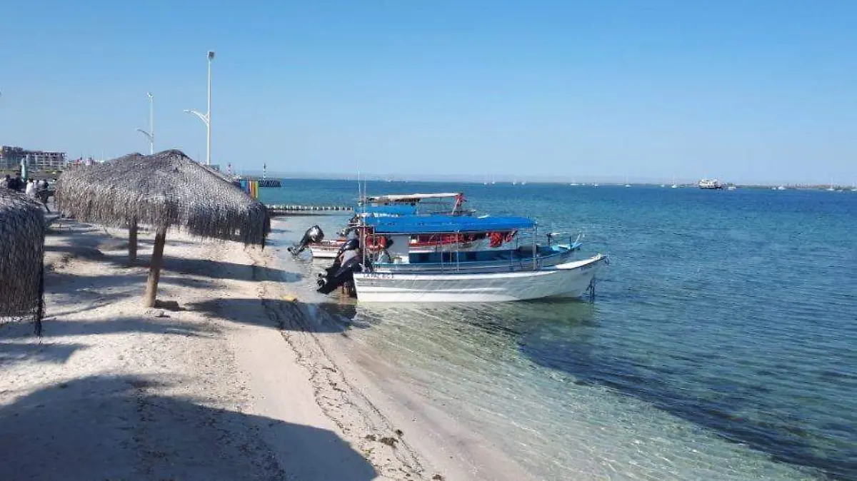 Armida C (54)