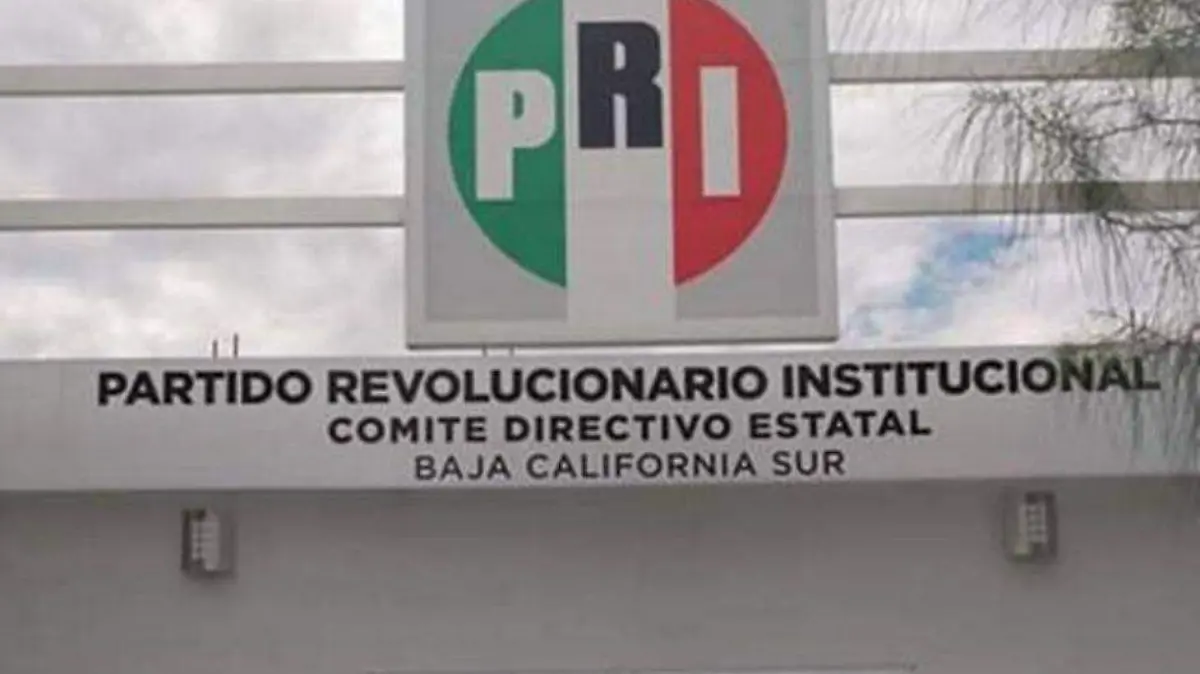 Foto - 2020-11-24T185347.852