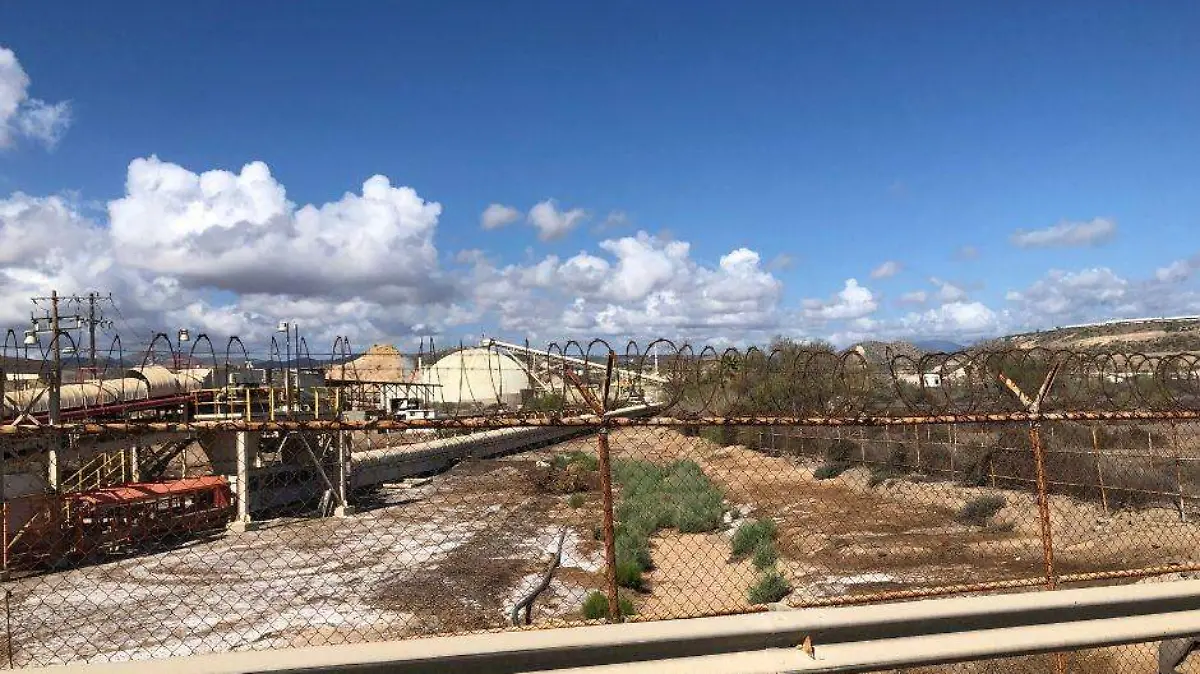 Colapso sistema salud BCS (99)