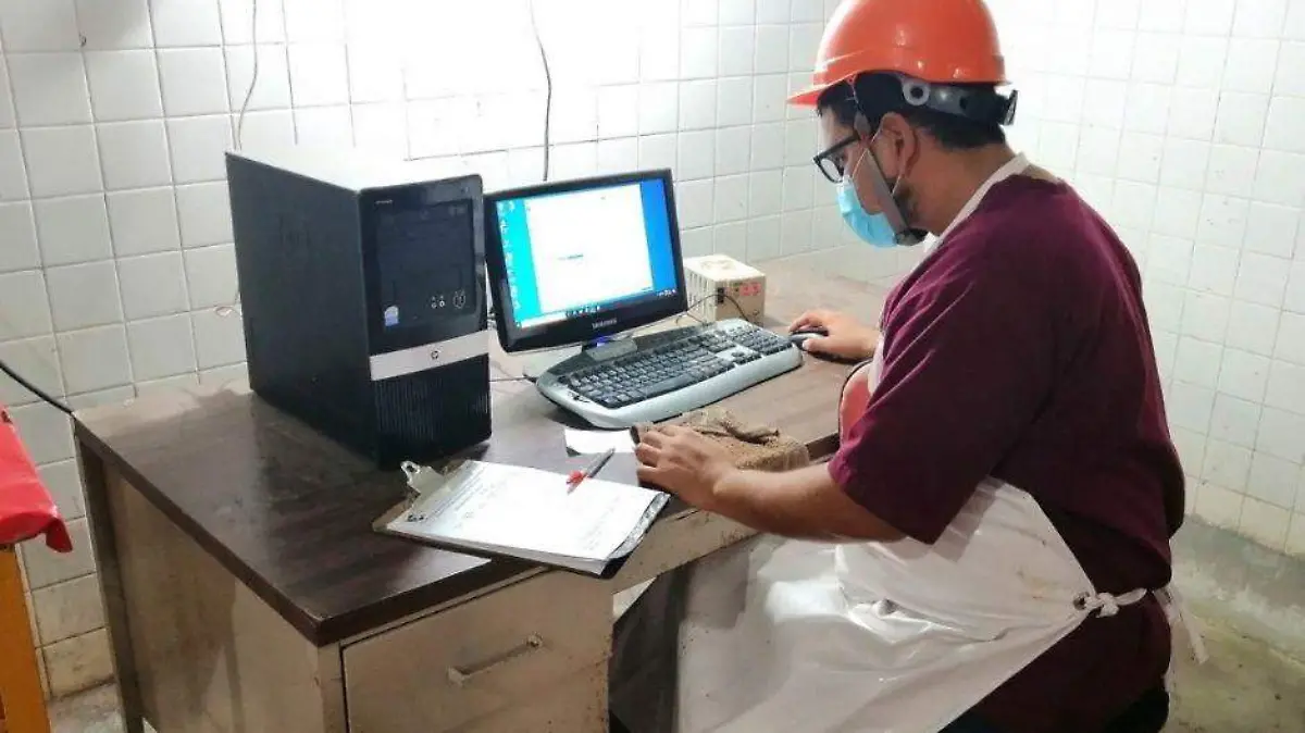 Foto - 2020-11-24T184347.910