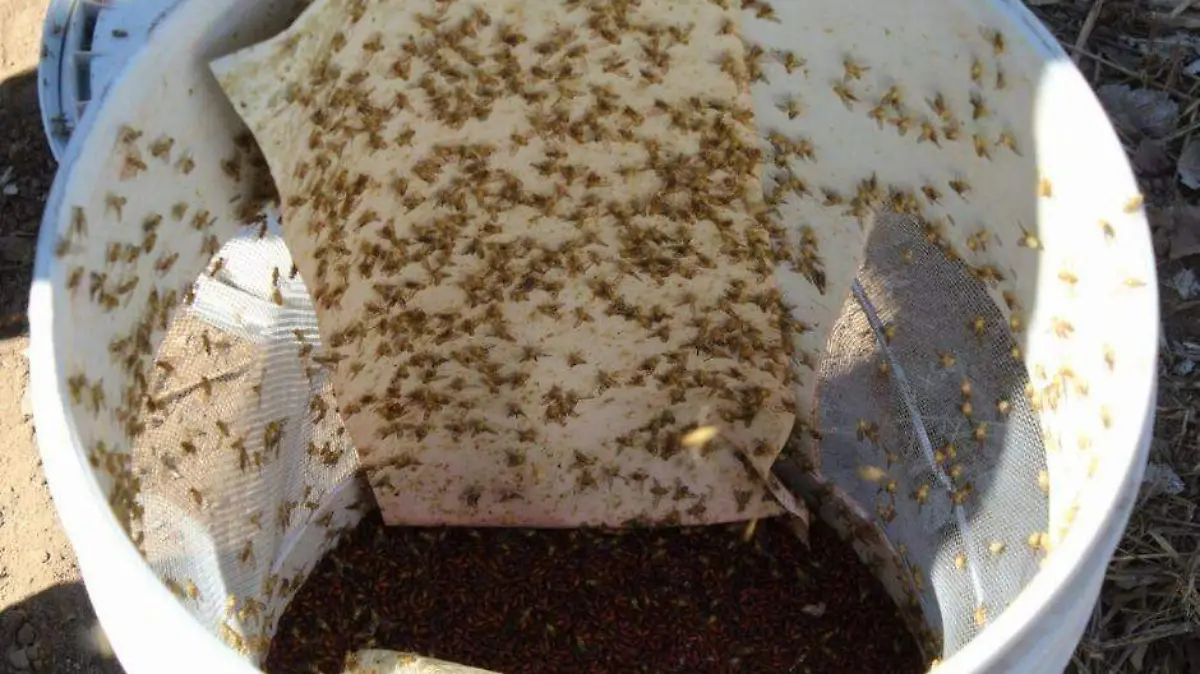 Foto - 2021-01-07T175656.895