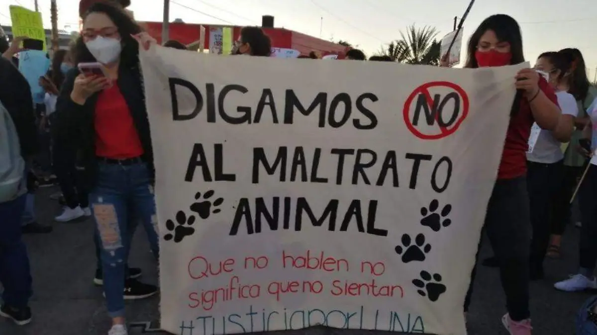 Foto - 2021-08-01T180132.880