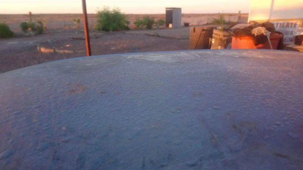 Foto - 2021-01-04T173224.453