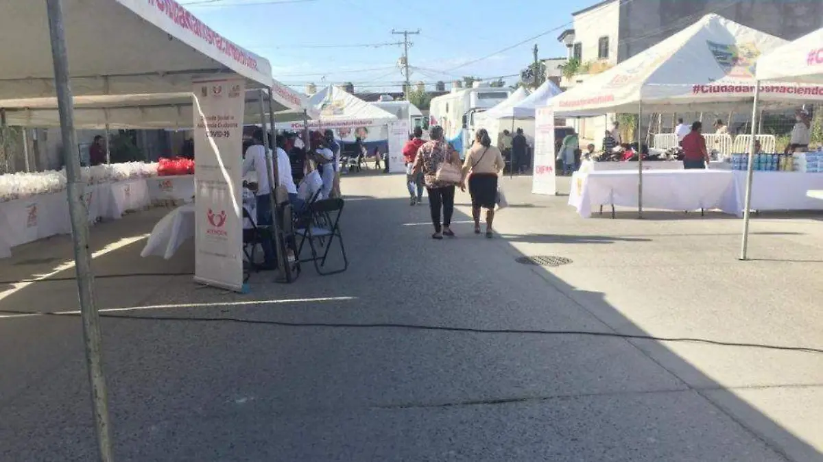 Foto - 2021-02-05T205300.873