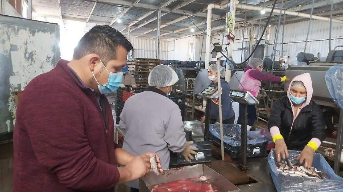 Foto - 2021-01-10T152455.685