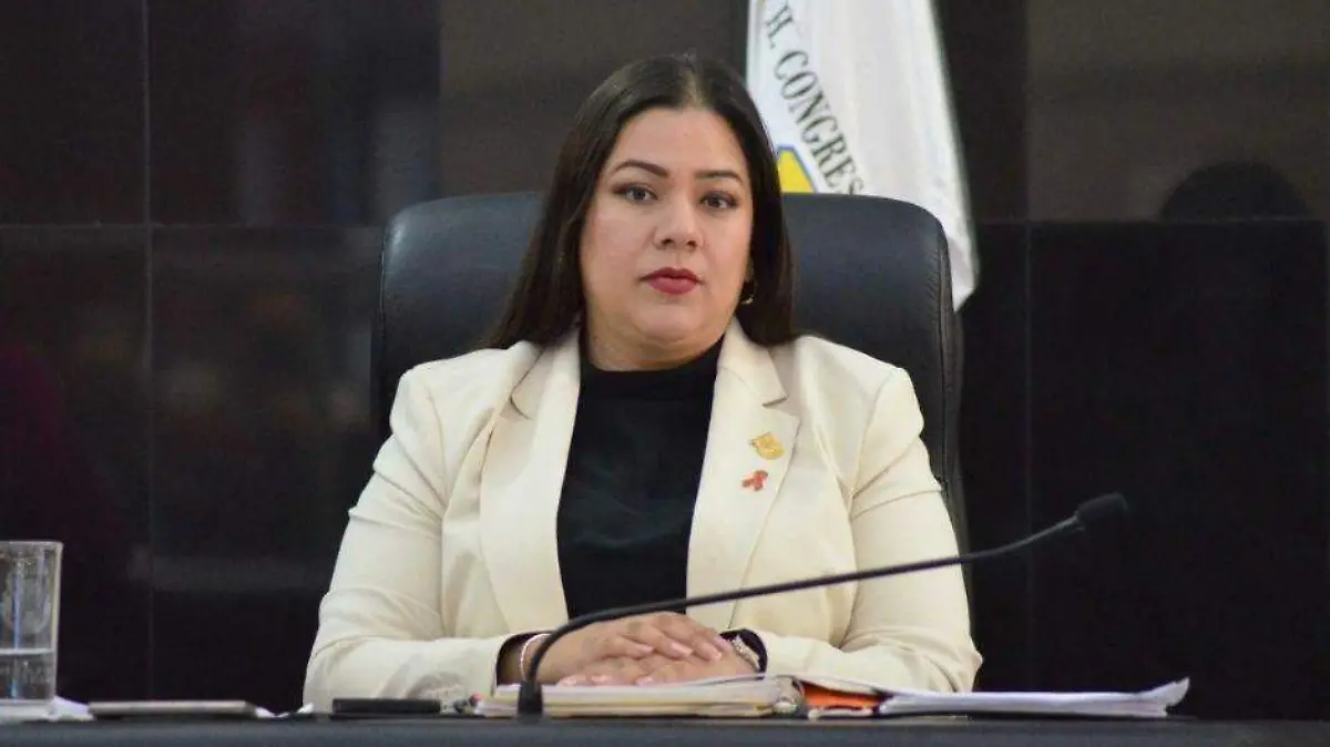 Gabriela Cisneros Comisión de Transparencia