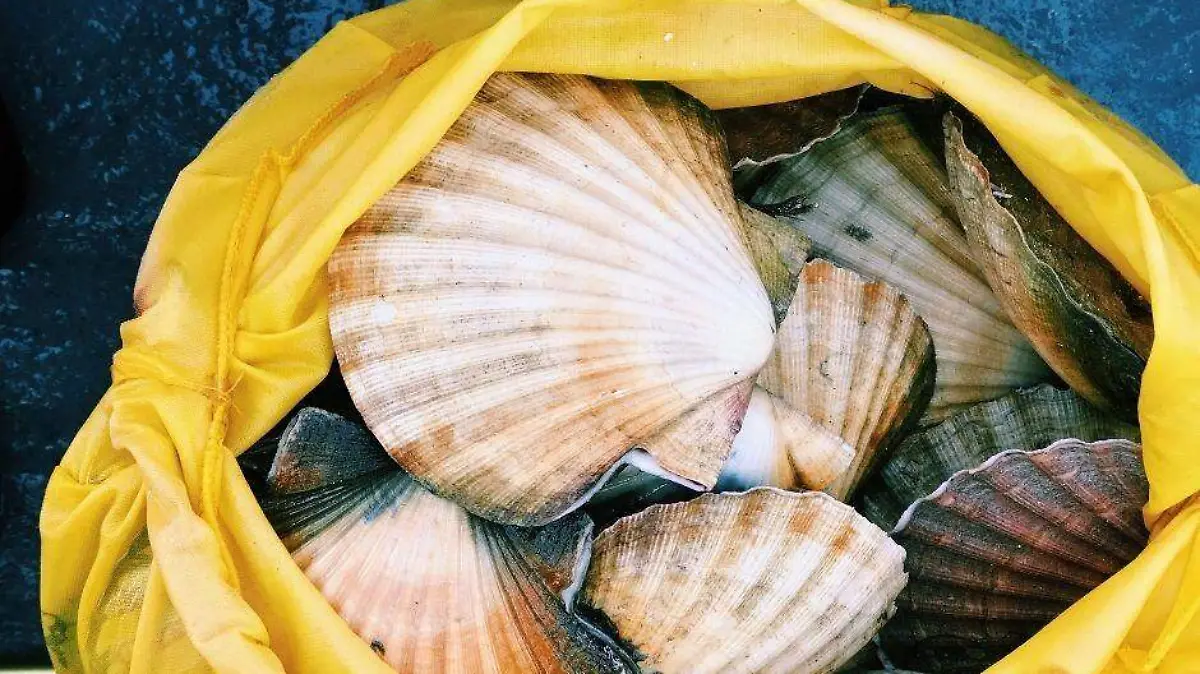 Foto - 2021-04-16T222503.464