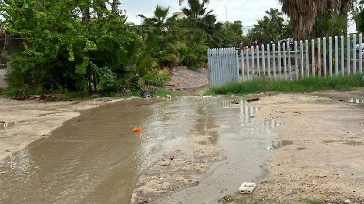 suspensión clases Los Cabos