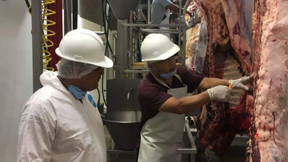 Persona con discpacidad