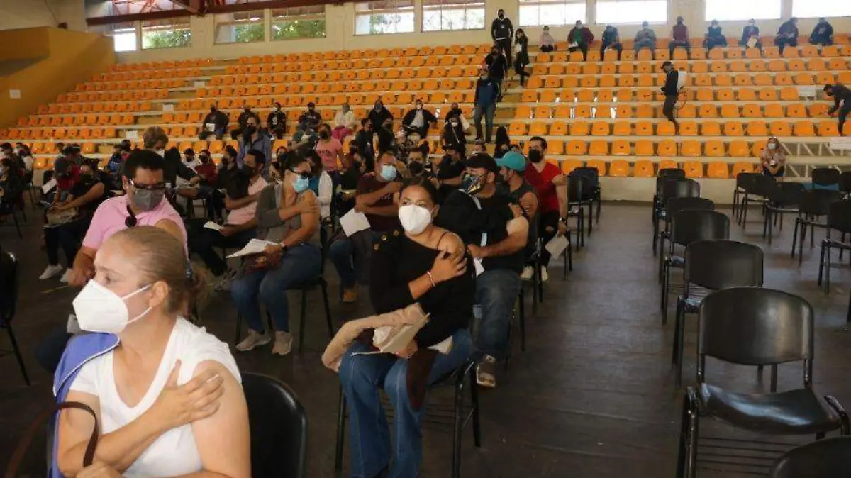 Colapso sistema salud BCS (78)