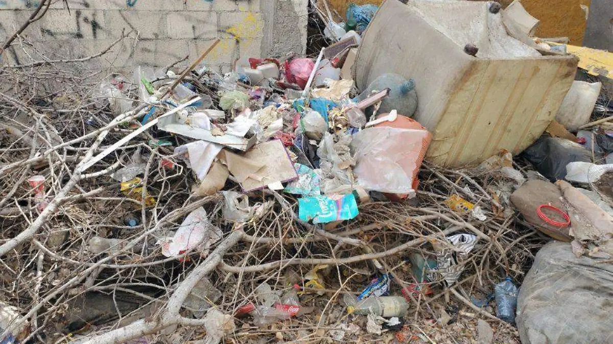 Basura casas abandonadas La Paz (1)