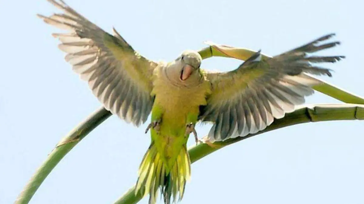 Untitled design (20)