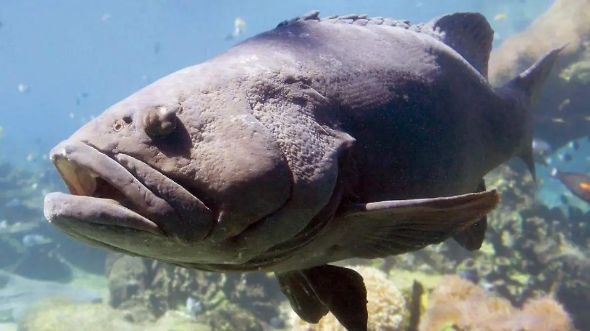 Foto - 2021-03-30T203532.493