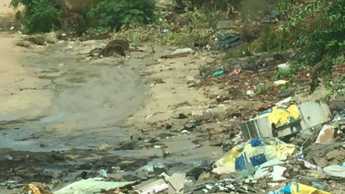 Foto - 2021-08-16T214540.113