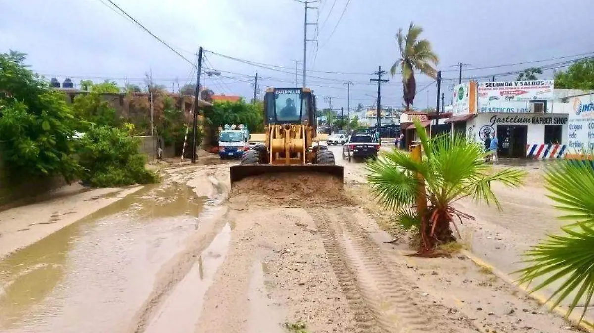 alcalde Comondú (10)
