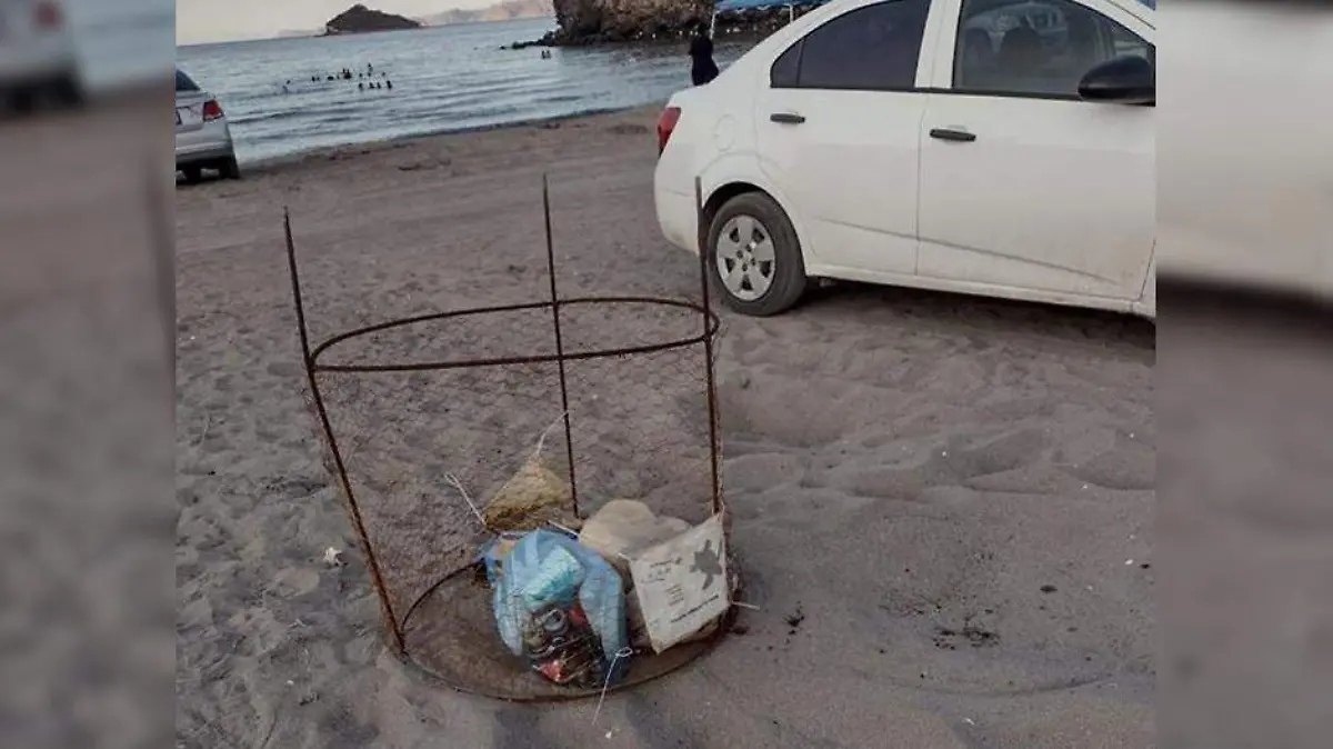 Daño nidos de tortugas en Loreto
