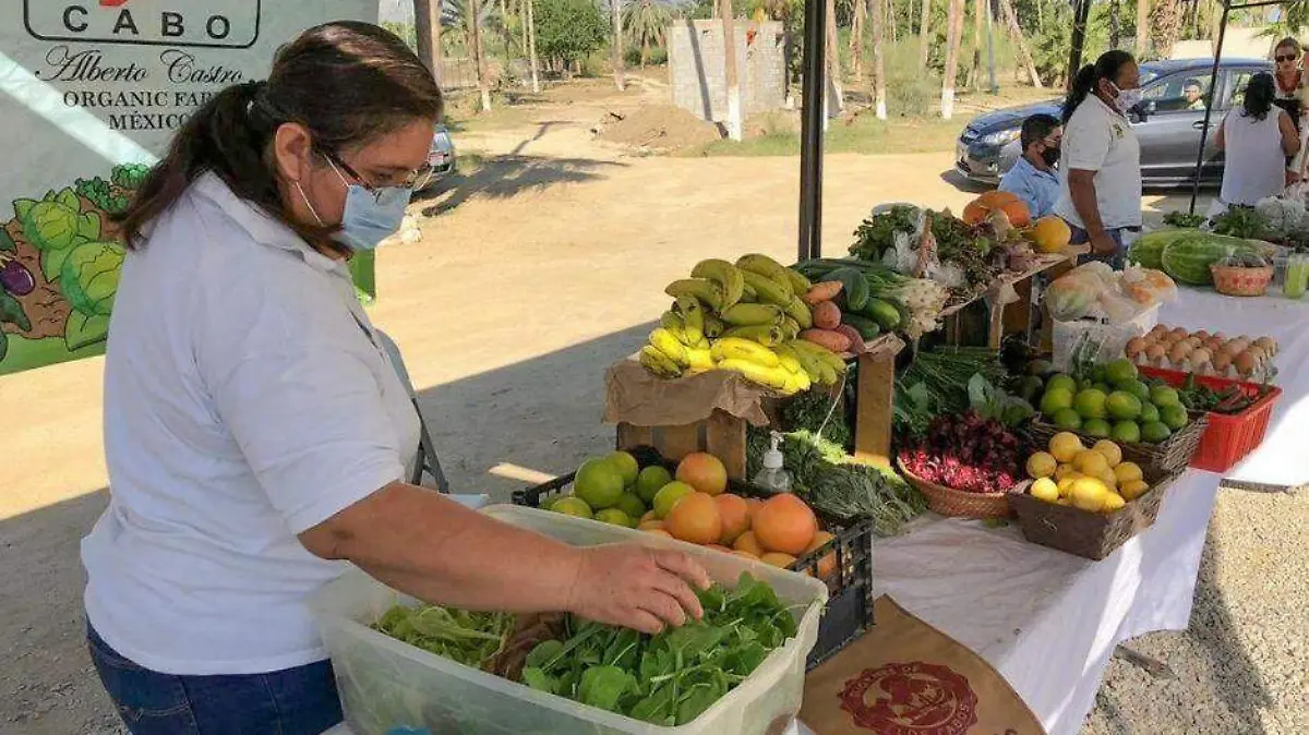 Foto - 2021-01-09T202948.703