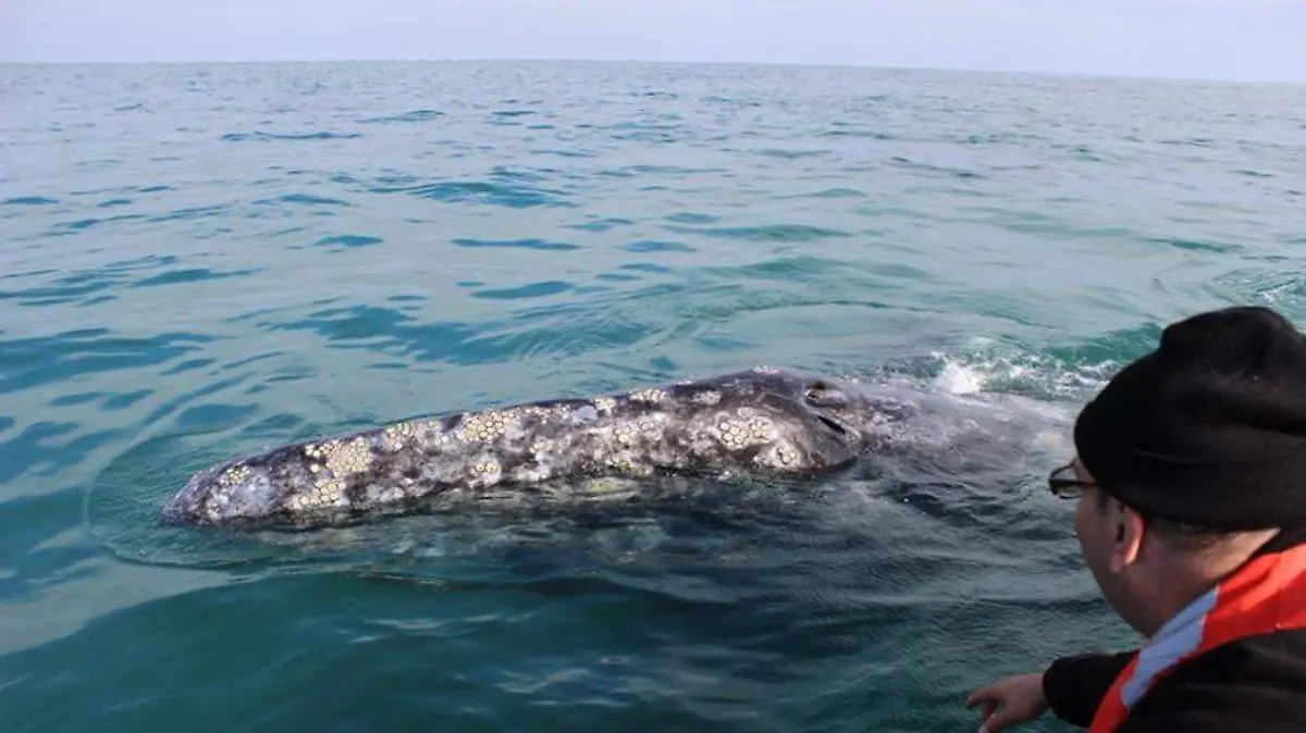 WhatsApp Image 2019-12-29 at 1.55